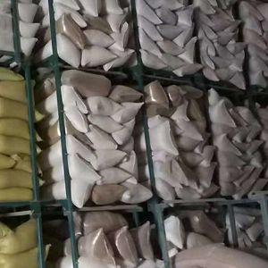 冷藏儲(chǔ)存庫